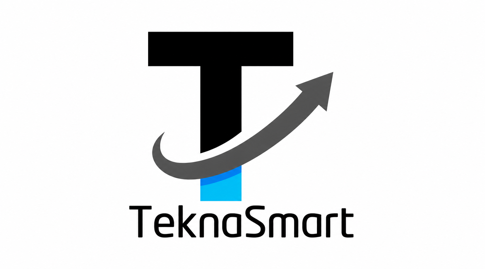 Teknasmart logosu